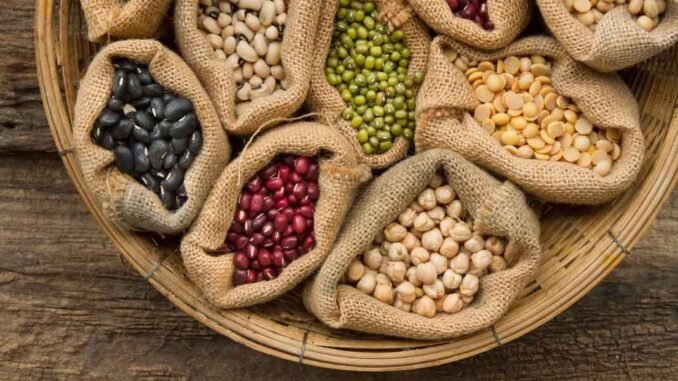 Legumes seed bean in sack bag on wooden background, top view. Dr