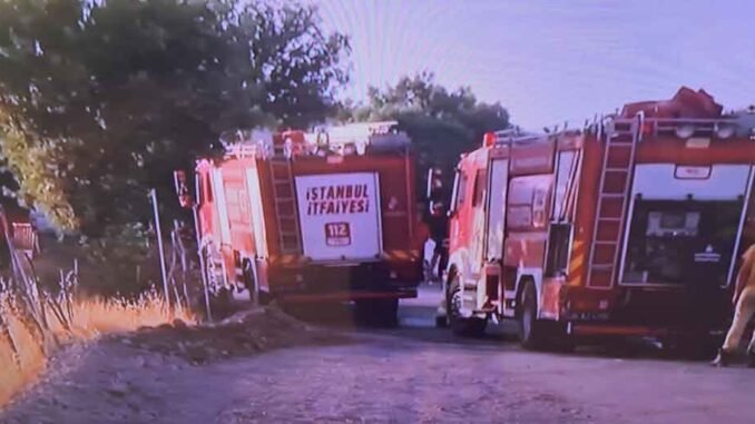 Yangın Çanakkale_20240621_182633