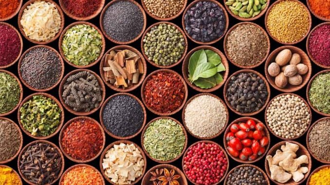 Seamless texture with spices and herbs