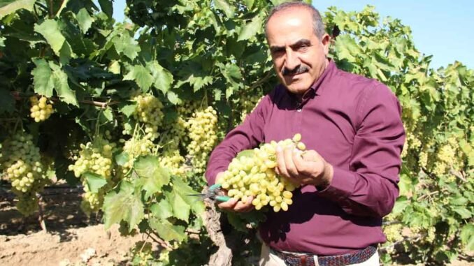 EİB YAŞMEYVESEBZEHAYRETTİNUÇAK_20240723_114907
