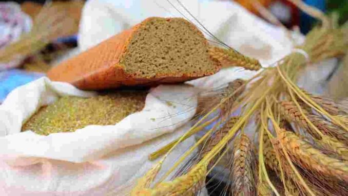 karakılçık ekmek topan buğdayi sferihisar