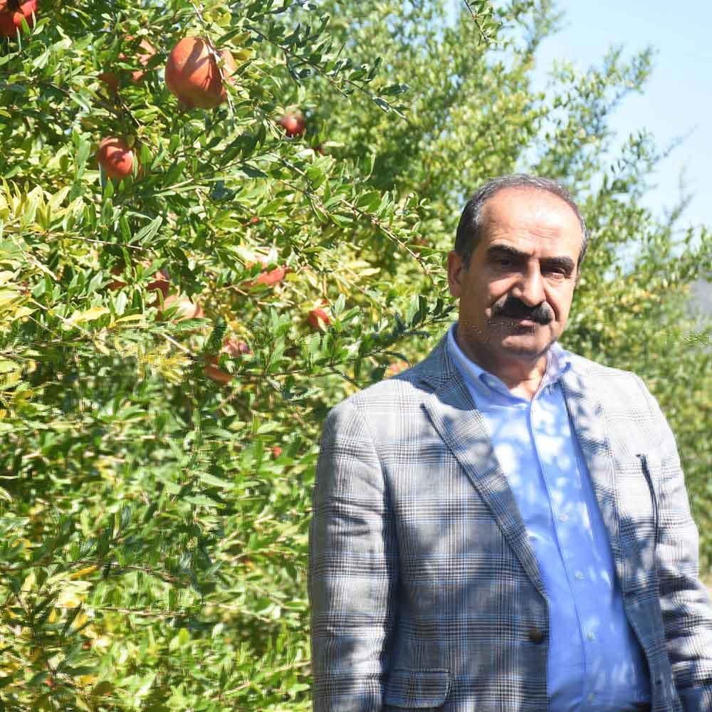 Nar ihracatıHayrettinUçak_20241108_010642