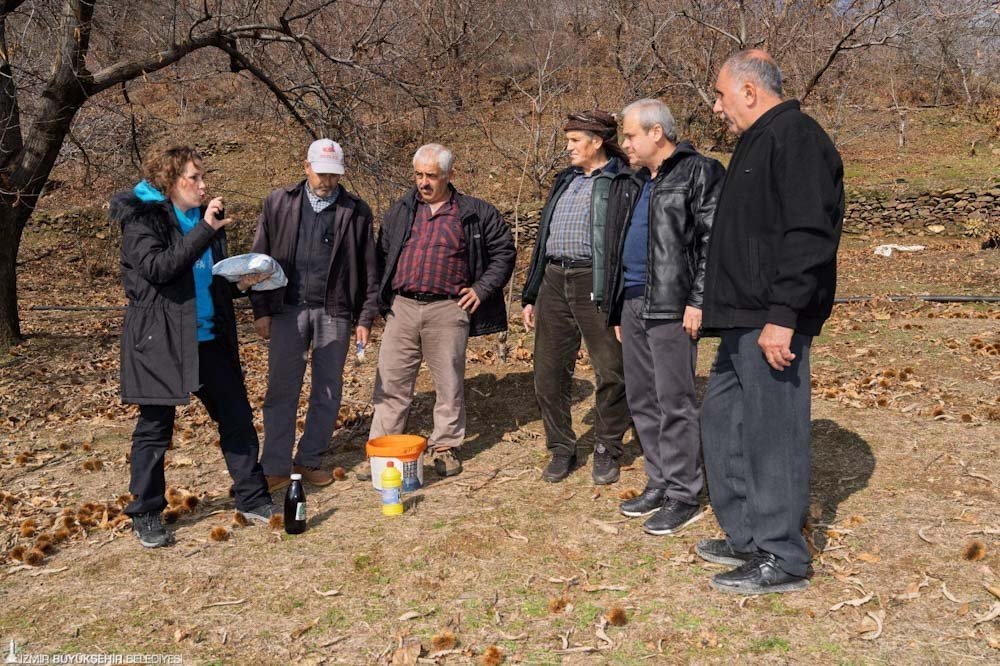 Kestane hastalığı _20250209_172526